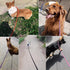 6 Foot Heavy Duty Dog Tie Out Rope Leash, Climbing Nylon Basic Leash for Indoor and Outdoor