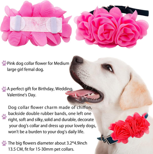 Dog Collar Charms with Large Flowers - 4, 6, or 20PCS Attachment for Small Medium Big Girl Cat Puppy Rabbit