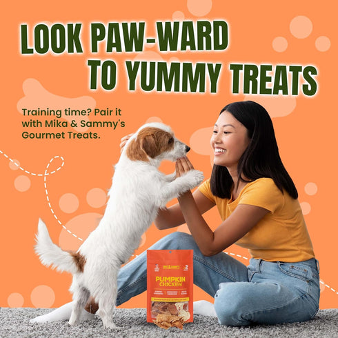 12 oz) Gourmet Jerky Dog Treats -Made in USA only, Cage-Free, No Additives (Pumpkin Chicken