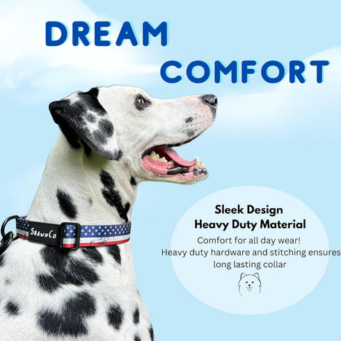 ShawnCo Dream Walk Dog Collar- Premium, Adjustable and Comfortable Pet Collar for Small, Medium, Large and Extra Large Dogs (S, Oceanic Blue)