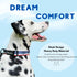 ShawnCo Dream Walk Dog Collar- Premium, Adjustable and Comfortable Pet Collar for Small, Medium, Large and Extra Large Dogs (S, Oceanic Blue)