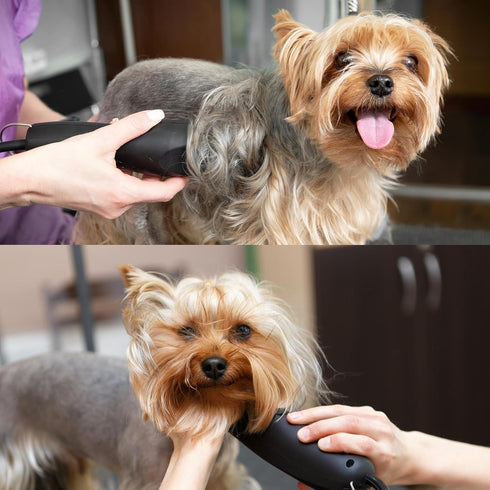 Detachable A Series 4 Blade Dog Grooming Skip Tooth Cuts Length 3 3/8" - Japanese High Carbon Steel Blade Supplies
