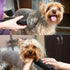 Detachable A Series Wide 10 Blade Dog Grooming, Cut Length 3/32" - 2.4mm, Compatible with A5 Series Clippers