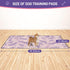 24x48 (Pack 2) Washable Dog Pee Pads - Absorbent Reusable Puppy Training Pads, Waterproof Leak - Proof & Non - Slip