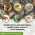 Fluker's Gourmet Canned Food for Reptiles, Fish, Birds, Small Animals, Dubia Roaches, 1.2 oz