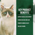 Fussie Cat Market Fresh Salmon & Chicken Meal Formula, Grain-Free Dry Cat Food, 4lb