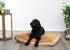 Modern Threads Luxury Dog Bed, Orthopedic Memory Foam Pillow Bed for Small to Large Dogs, Machine Washable, Linen Beige