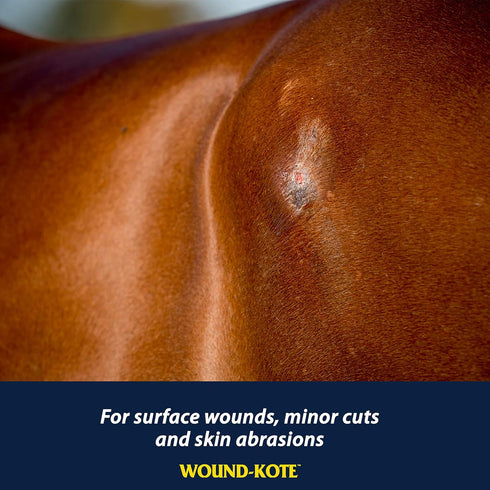 Farnam Wound-Kote Blue Lotion Spray, 5 Oz, Horse Wound Care for Minor Wounds, Cuts, and Sores