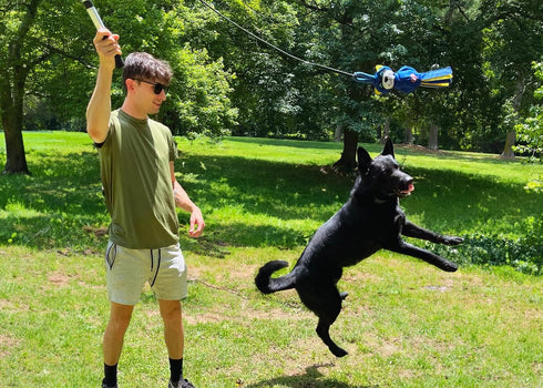 Flirt Pole Replacement Toy - Multi-Sensory Tough Raccoon Toy for Mighty StrongBite Flirt Pole for Dogs