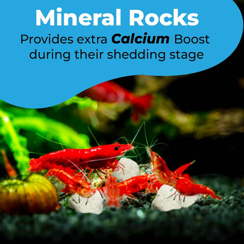 Calcium Rocks for Shrimps, Enhances Pet Color, Provides Hideout, Beneficial for Shedding, 1.7 oz. (50g)