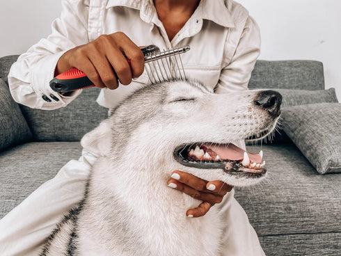 Detangling Comb for Dogs & Cats – Dematting Tool to Easily Remove Dead, Matted or Knotted Hair | Ergonomic, No-Slip