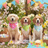 100 Set 25 (25.6 17.7 17.7) Abbylike Pcs Easter Dog Bandanas Bulk Bunny Egg Carrot Bandanas for Dogs Triangle Kerchief