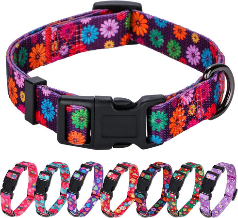 Rhea Rose Girl Dog Collars, Fall Daisy Pattern Colorful Flowers Print for Female Dogs (Dark Purple, Large)