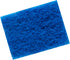 Penn-Plax WZP1 Wizard Grime Scrubber Pad – for Glass Tanks – 3” x 4”