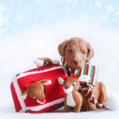 ZippyPaws Holiday Burrow Interactive Dog Toy, Reindeer Pen Plush Puzzle for Small & Medium Dogs