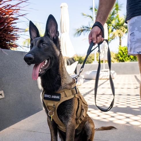 Shed Defender 5 ft. Standard Dog Leash, Three Padded Traffic Handles, Heavy Duty Reflective Stitching for Large and