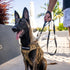 Shed Defender 5 ft. Standard Dog Leash, Three Padded Traffic Handles, Heavy Duty Reflective Stitching for Large and