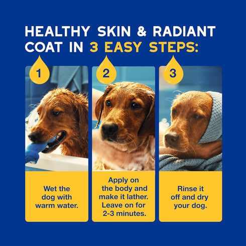16 oz, DOUXO Skin & Coat SPA - Ultra-Safe Oatmeal Dog Shampoo, fl Cleans and Deeply Hydrates The Skin, Leaves The Coat