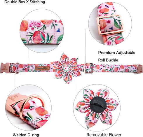 Lionheart glory Dog Collar with Flower Pink Peach Dog Collar Girl Soft Durable Adjustable Collar Flower Spring Collar Dog Bow for Small dogs