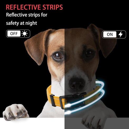 Reflective Dog Collar with Safety Locking Buckle, Adjustable Soft Nylon, for Small Medium Large Dogs, XL Yellow