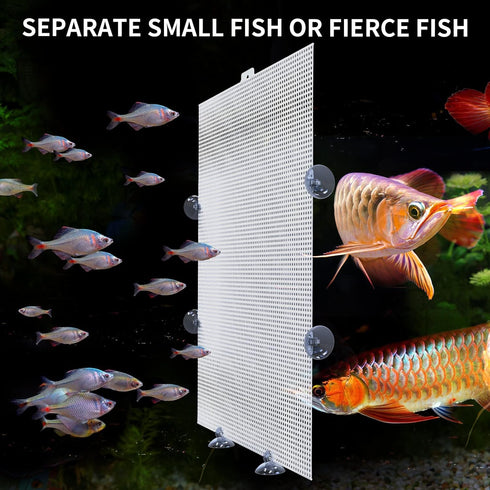 2 Pack Fish Tank Divider, Clear Plastic Aquarium Dividers with Suction Cups, Juvenile Fish Separator, 10 * 13in