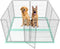 FXW XXL Puppy Pee Pads for Dogs 60x33.5 inch 20 Count, 5
