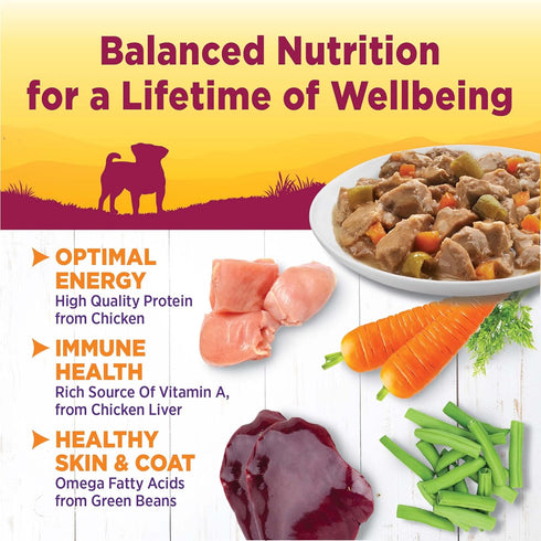 Wellness Petite Entrées Mini-Filets, Roasted Chicken, Beef, Carrots & Green Beans in Gravy, 3-Ounce Cup (Pack of 12)