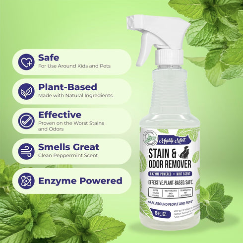 Mighty Mint Stain & Odor Remover, 16oz Natural Enzyme Spray for Safely Neutralizing Odor and Stains from Pets