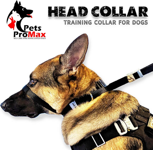 PetsProMax No-Pull Dog Headcollar (Large), Gentle Training Collar for Dogs, Comfortable and Effective Walking Solution