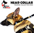 PetsProMax No-Pull Dog Headcollar (Large), Gentle Training Collar for Dogs, Comfortable and Effective Walking Solution
