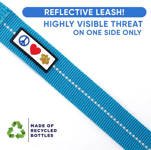 Pawtitas 6 FT Recycled Dog Leash with Reflective Stitched Thread, Small Reflective Dog Leash, Teal