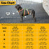 Escape Proof Dog Harness, No Pull Reflective Vest with Lift Handle, Adjustable Pet Harness for Small Medium Large Dogs