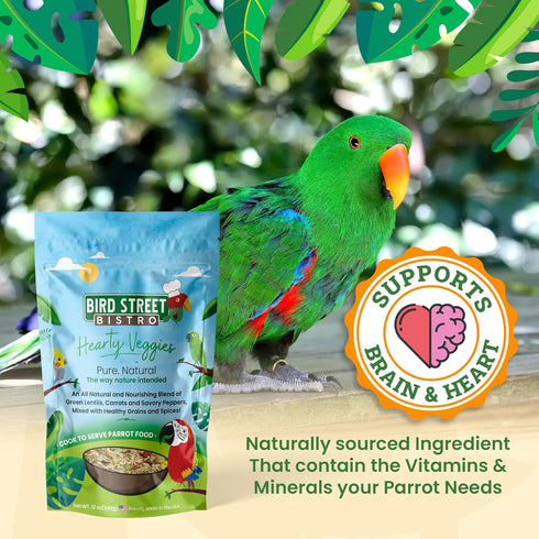 3 Pack 3-15 Bird Street Bistro Cockatiel Food Sample - Cooks in min w/Natural Whole Grains - Healthy Non-GMO Fruits