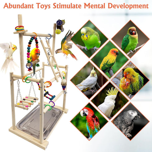 3-Tier Hamiledyi Natural Wood Bird Playground - Large Perch Stand with Exercise Platforms Durable Activity Gym
