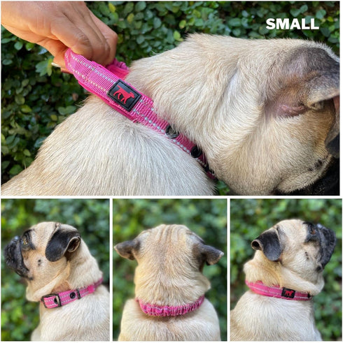 Heavy Duty Dog Collar with Handle | Ballistic Nylon Padded Reflective Collar with Adjustable Stainless Steel Hardware