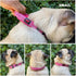 Heavy Duty Dog Collar with Handle | Ballistic Nylon Padded Reflective Collar with Adjustable Stainless Steel Hardware