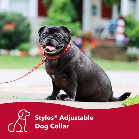 Coastal Pet Styles Adjustable Dog Collar - Red Bones - 3/8" x 08"-12" - Stylish Patterned Fabrics with Snap-Lock Buckle