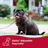 Coastal Pet Styles Adjustable Dog Collar - Red Bones - 3/8" x 08"-12" - Stylish Patterned Fabrics with Snap-Lock Buckle