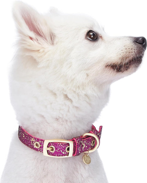 Blueberry Pet Adjustable Dog Collar in Cerise Pink, Glam Life Gold Stamping Lace, Neck 7.5-10", for Small Breed