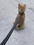 TRUE LOVE TLL2111 Reflective Dog Leash, Padded Puppy Walking Lead, 200cm Length, Black, M