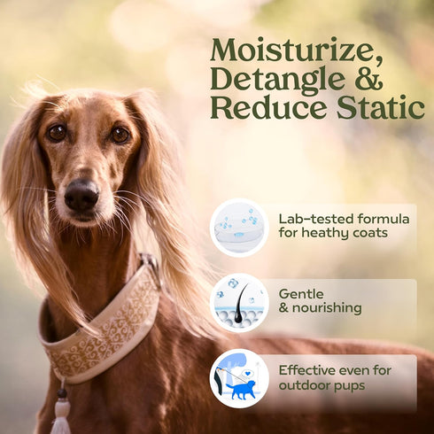 PAWFUME Premium Grooming Spray | Dog Deodorizer Perfume | Long Lasting Dog Cologne Spray | Dog Perfume Spray After Bath