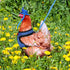 9 Pcs Chicken Harness with Leash and Hats Set, Funny Accessories for Hens, Duck, Goose, Parrot, Adjustable Training