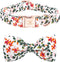 Elegant Little Tail Dog Collar with Bowtie, Adjustable Spring Flower Cute Pink Pet Collar Gift for X-Small Dogs
