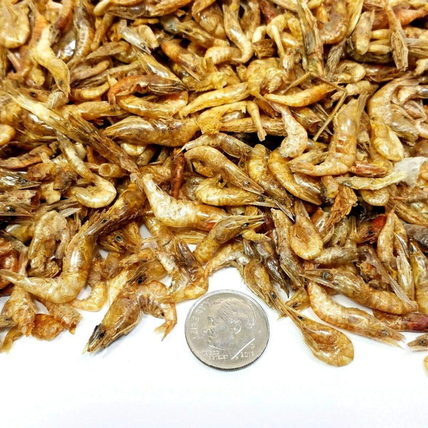 Aquatic Foods Inc. 5oz. Freeze Dried Red Shrimp 1/2'' to 1&1/4'' for Tropical Fish, Marine