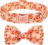 Fall Boy Dog Collar - Orange Maple Leafs Rugby Bow Tie Collar with Safety Metal Buckle for Small, Medium, Large Dogs