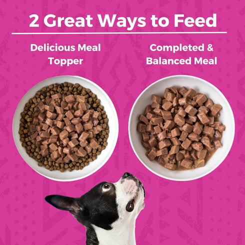 12.7oz 12) KOHA Minimal Ingredient Pork Stew for Dogs, High Protein Limited Ingredient Dog Food, Cans (Case