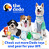 The Dodo Woodland Animals Stuffingless Dog Toy Set: 2pc Bear & Tree, Durable Toys for Dogs