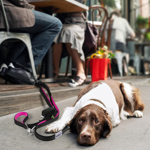 6 ft. Bungee Dog Leash - Heavy Duty with 4 Traffic Handles, Mighty Carabiner Clip, Ultra Reflective for Large Dogs