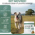 60 Chew + Heal Labs Glucosamine for Dogs Hip and Joint Supplement - Senior Dogs Mobility Soft Chews - Made