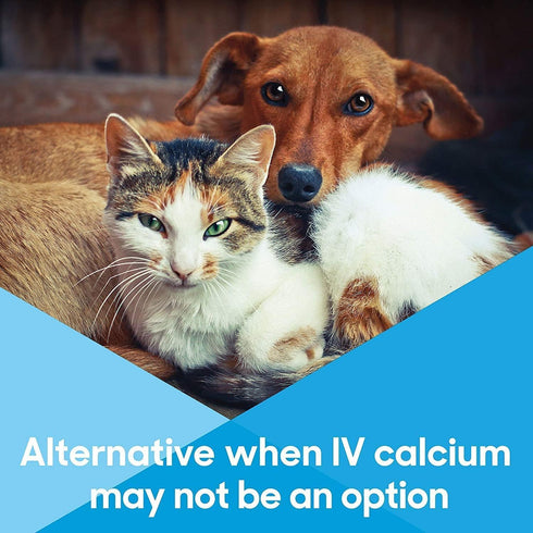 Calcium Now - Oral Calcium for Whelping Dogs - Dog & Cat Calcium Supplement Paste, Vanilla, 30 ml Paste (Pack of 2)